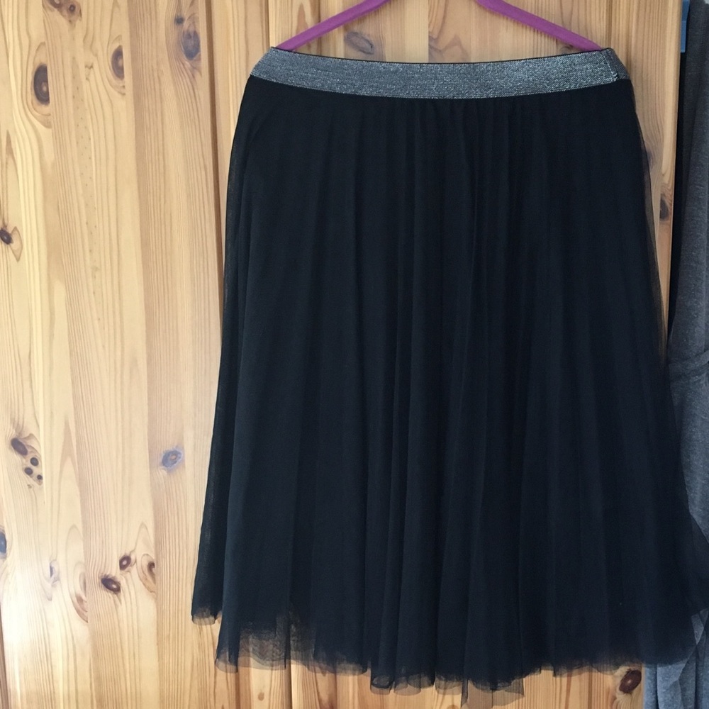 Black tulle skirt